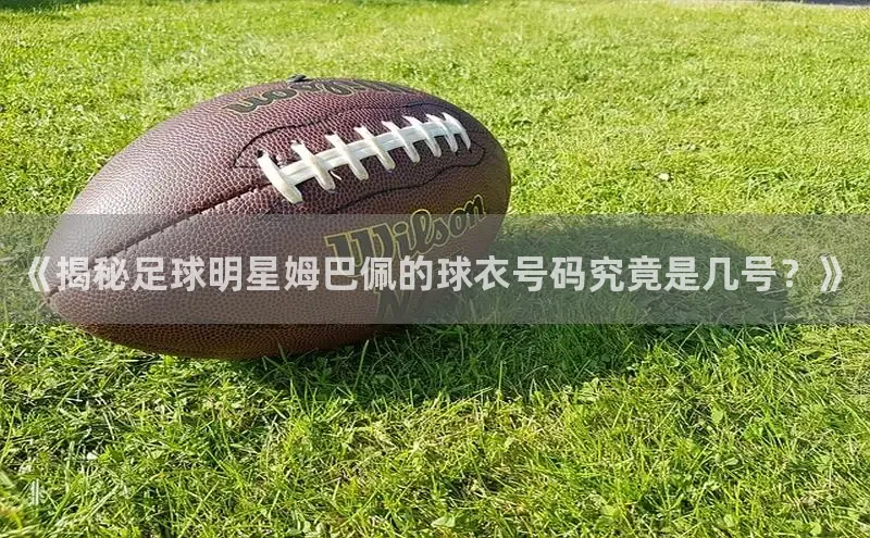 QY球友会体育官方平台路畅科技